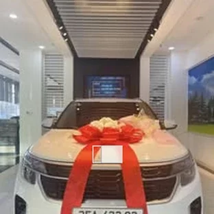 Kia Ninh Bình - Hoạt động giới thiệu xe và tư vấn trực tiếp.